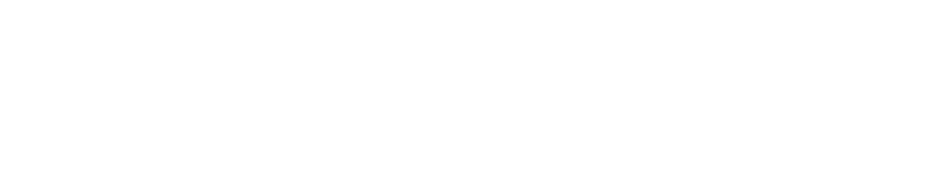 Basic & More logo